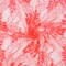 Coral Red Nylon Cotton Floral Lace Mesh Knit Fabric By the Yard